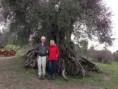 /album/montenero-dorcia-i-prodotti/olive-terra-nera2-jpg/
